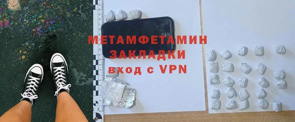 прущие грибы Дмитриев