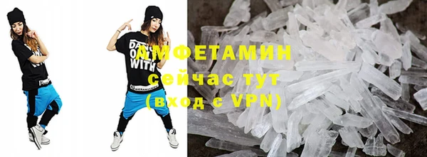 прущие грибы Дмитриев