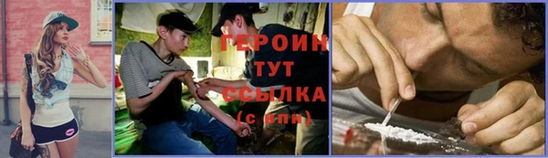 прущие грибы Дмитриев