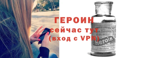 прущие грибы Дмитриев
