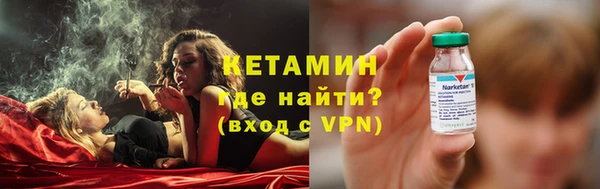 прущие грибы Дмитриев