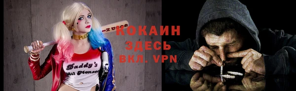 прущие грибы Дмитриев