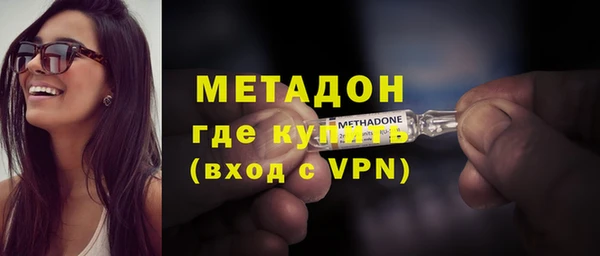 прущие грибы Дмитриев
