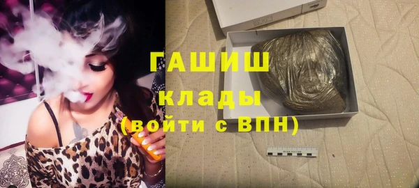 прущие грибы Дмитриев