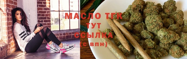 прущие грибы Дмитриев