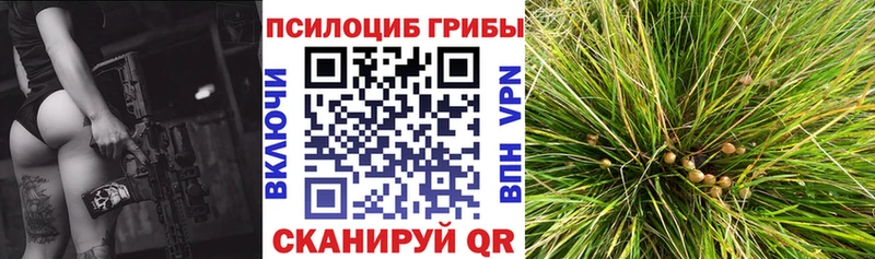 Псилоцибиновые грибы GOLDEN TEACHER  Купить  Оленегорск 